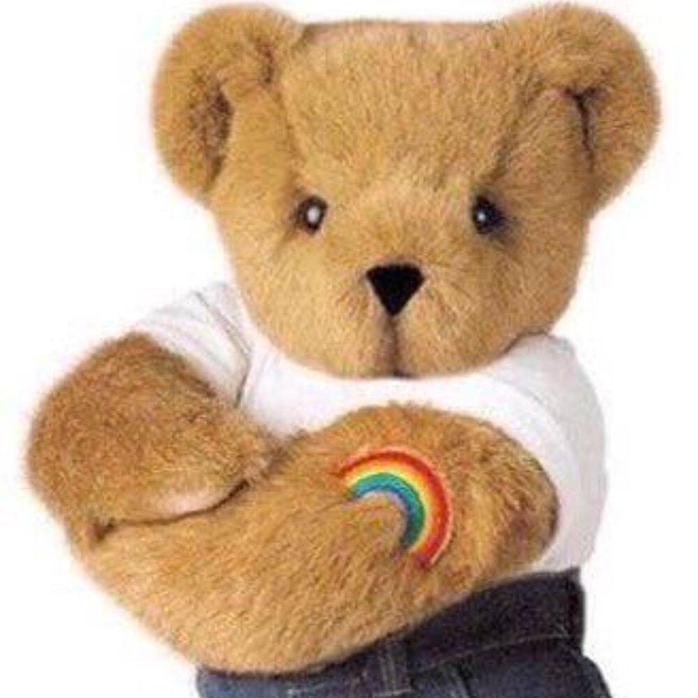 ISO Vermont Teddy with Rainbow Patch